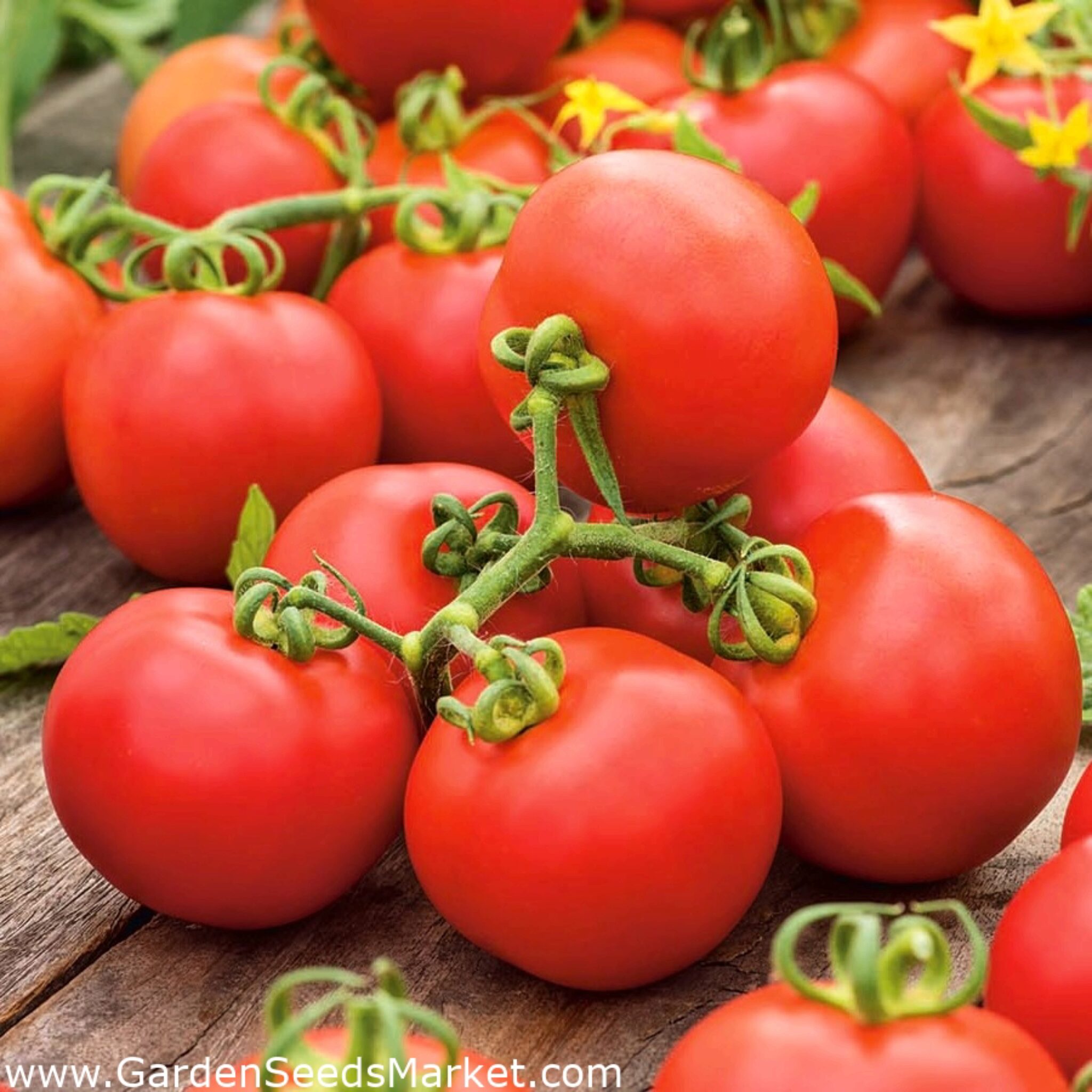 8 Methodes Pour Se Debarrasser Des Trous Dans Les Feuilles Des Plants De Tomates
