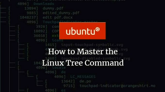Comment Utiliser La Commande Tree Sous Linux ?