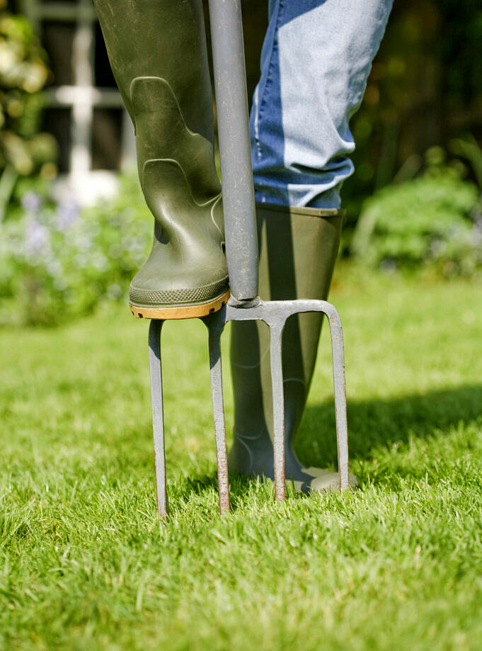Conseils et techniques d'entretien et d'entretien de la pelouse tout au long de l'année pour votre jardin