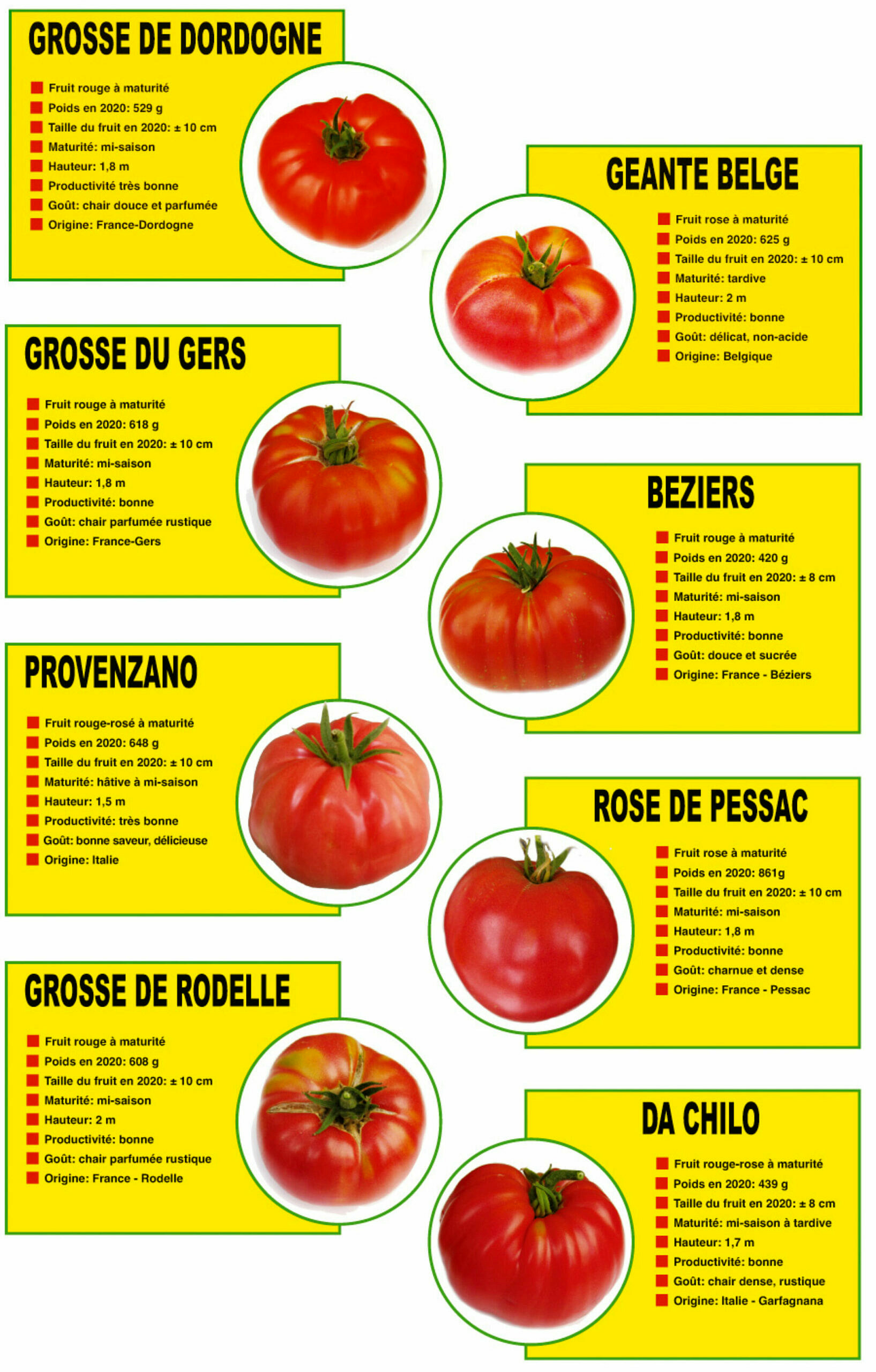 La Liste Des Varietes De Tomates Les Plus Productives