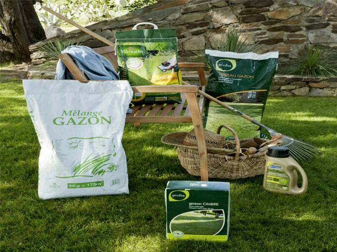Les 10 meilleurs conseils pour rendre votre pelouse plus verte